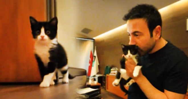 Beşiktaş Belediye Başkanı Rıza Akpolat'tan sahiplendikleri kedi yavrusu için isim çağrısı!