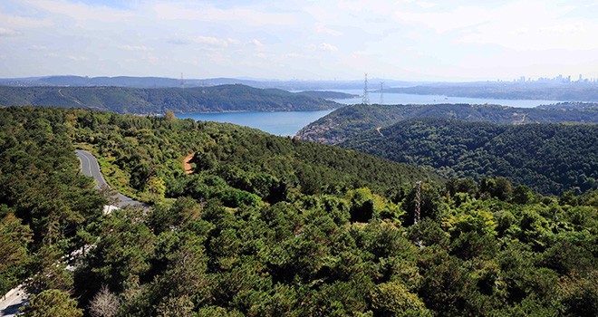 Valilik açıkladı! İstanbul'da ormanlık alanlara girişler kısıtlandı