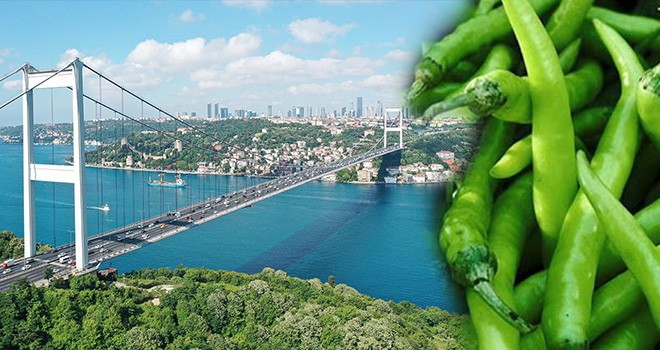 İstanbul'da en çok artan ve düşen ürün belli oldu! Köprü geçiş ücreti ve sivri biber
